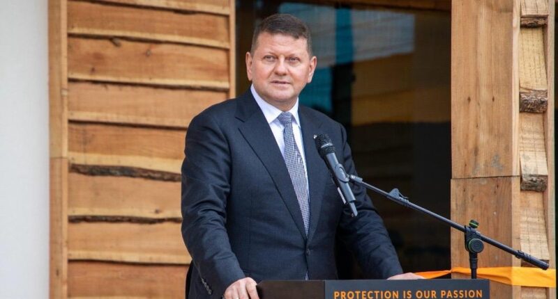 Залужний про неготовність Європи до війни