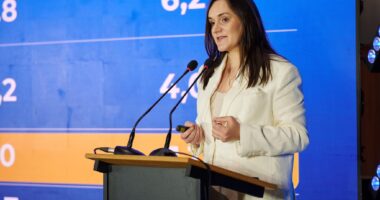 Бережну призначили у Мінкульт