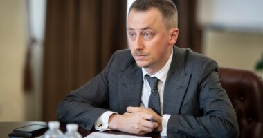 Соболев про трудових мігрантів