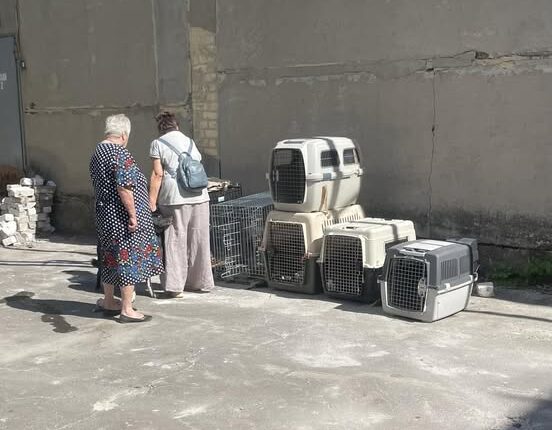 Добрянка Вінниччина