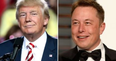 Трамп про партію Маска