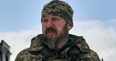 Бровді про 100 днів на посаді