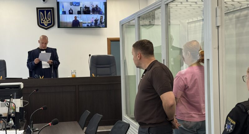 Синельникова у суді