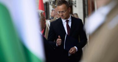 Сійярто про санкції проти РФ