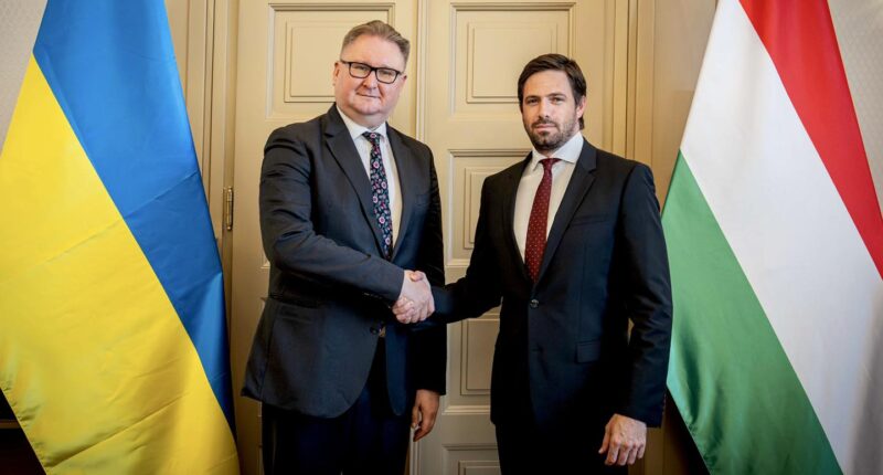 Заступник МЗС Угорщини Левенте Мадяр і віцепрем’єр України з питань євроінтеграції Тарас Качка