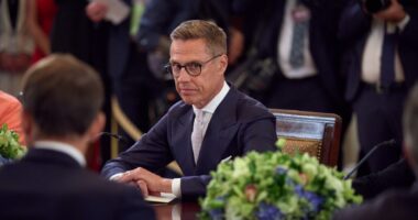 Стубб про Трампа