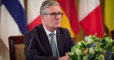 Стармер про плани від коаліції охочих