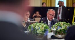 Мерц про миротворців