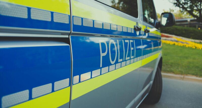 поліція Німеччини про обшуки в Шурми