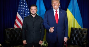 Трамп і Зеленський про переговори