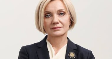Уповноважена із захисту державної мови Олена Івановська
