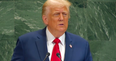 Президент США Дональд Трамп в ООН