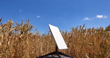 Естонія виділить 3 млн євро на Starlink