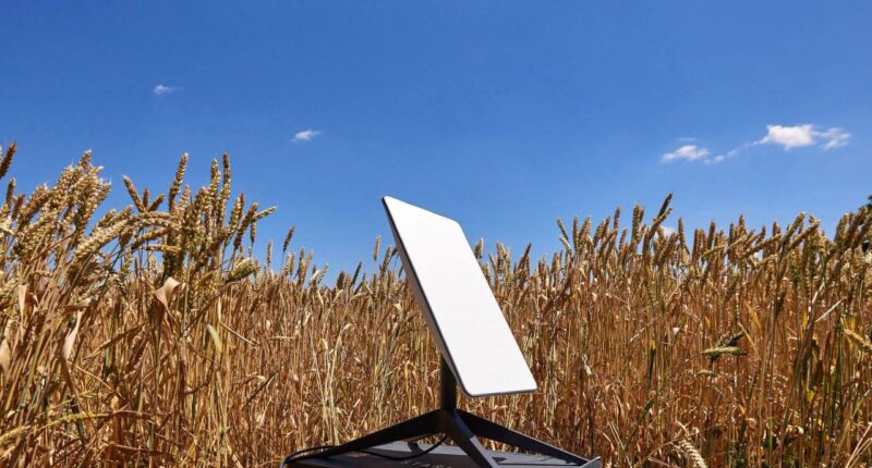 Естонія виділить 3 млн євро на Starlink