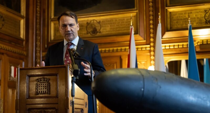 Сікорський про закриття консульства РФ