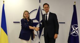 Гетьманчук про країни, що купують зброю для України