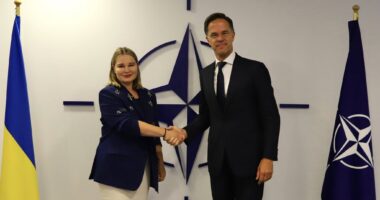 Гетьманчук про переговори щодо вступу до НАТО