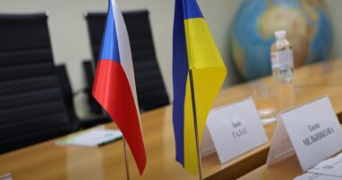 зустріч Дейнеко з послом Чехії