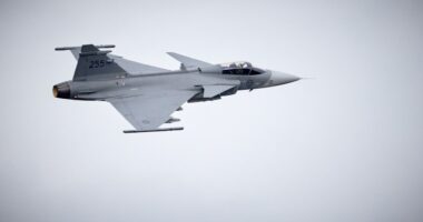 Винищувач Gripen