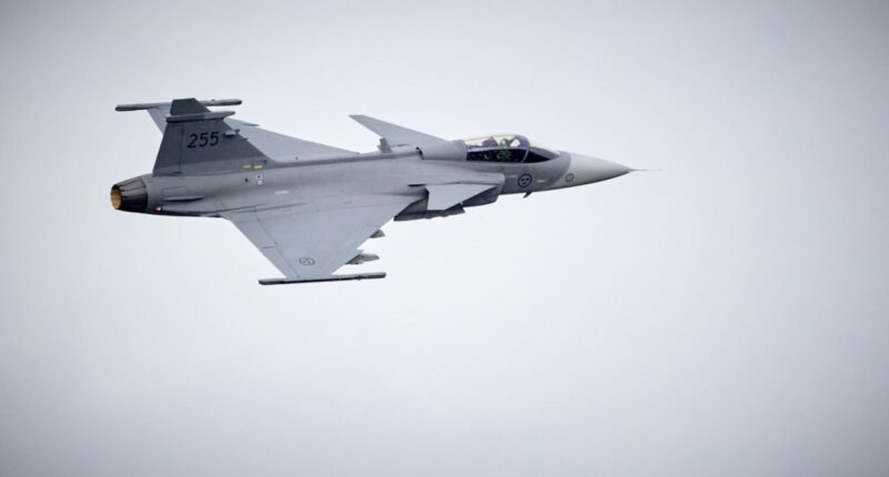 Винищувач Gripen