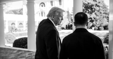 Трамп схиляв Зеленського піти на постпки Кремлю