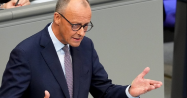 Фрідріх Мерц, Німеччина