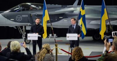 Зеленський та Ульф Крістерссон