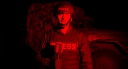 Репортер WELT