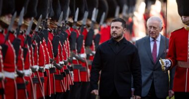 Володимир Зеленський і король Чарльз