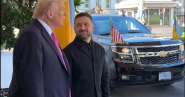 Дональд Трамп і Володимир Зеленський