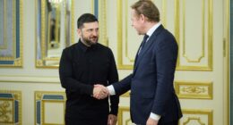 Володимир Зеленський і Давід ван Веел