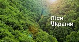Ліси України