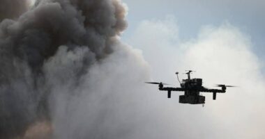 Британські тюрми опанують українську технологію протидії дронам