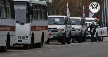 В Україну повернути 1 тис. тіл