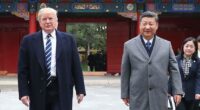 Дональд Трамп і Сі Цзіньпін