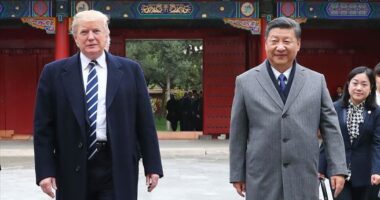Дональд Трамп і Сі Цзіньпін