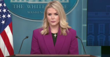 Керолайн Лівітт