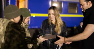 Анджеліна Джолі і ДПСУ