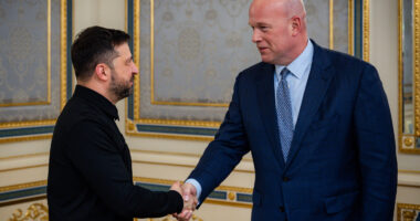 Вітакер про зустріч із Зеленським