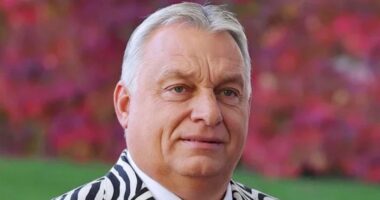 Прем'єр-міністр Угорщини Віктор Орбан