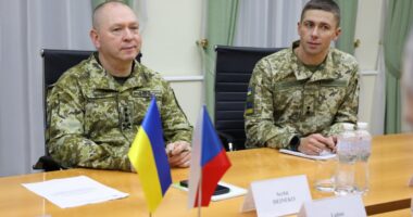 Дейнеко зустрівся з представниками Чехії