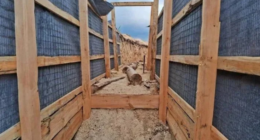 Укріплення на фронті