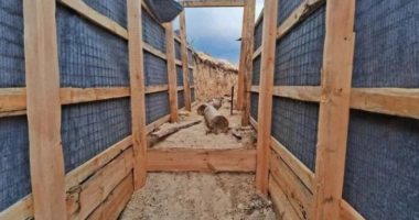 Укріплення на фронті