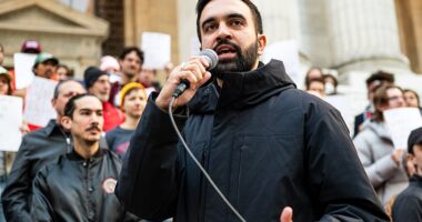 Зохран Мамдані