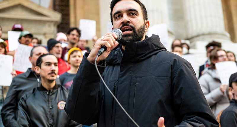 Зохран Мамдані