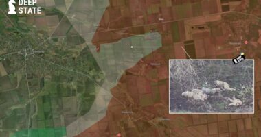 Армія РФ розстріляла пʼятьох військовополонених поблизу Зеленого Гаю