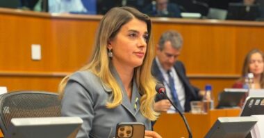 Білозір у ПАРЄ