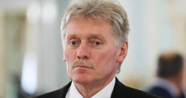 Пєсков про переговори США і Путіна