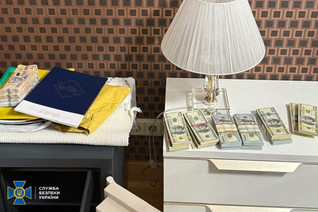 Нардепці Скороход, в якої були обшуки, оголосили про підозру 3