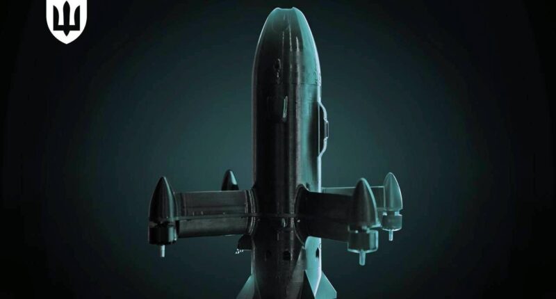 Українські дрони-перехоплювачі